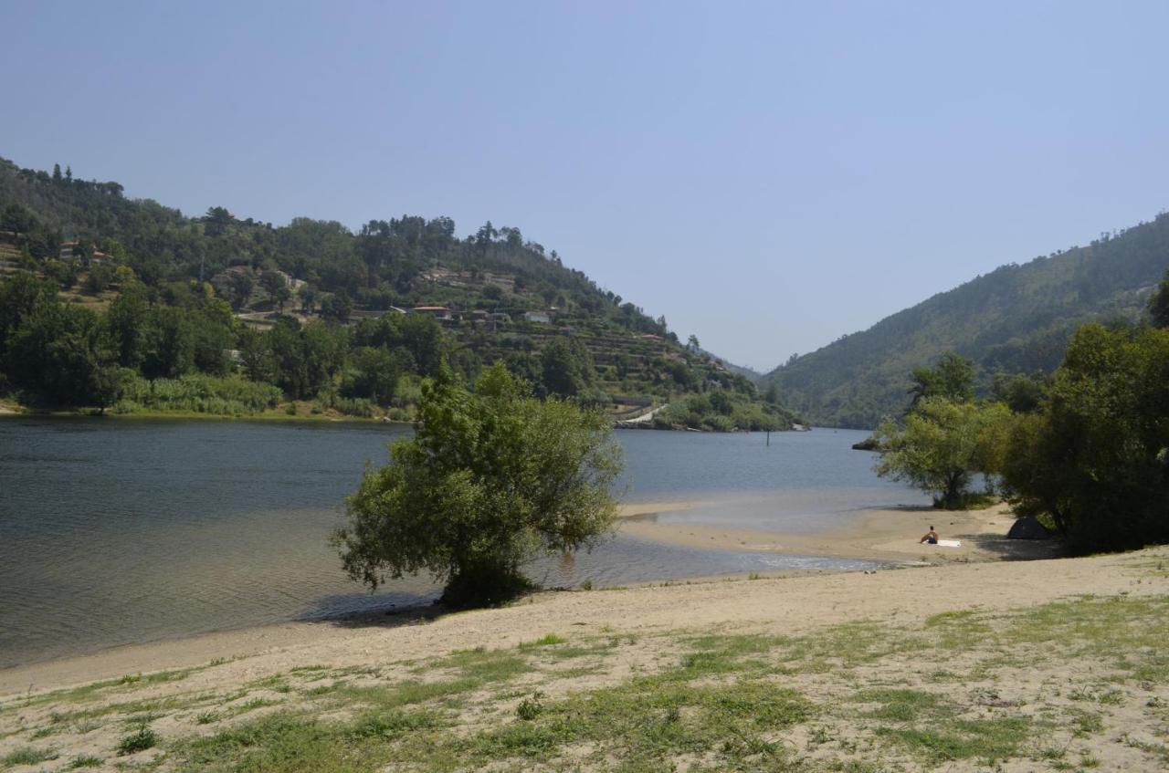 Encosta Do Douro - Rio Douro Villa Cinfães Eksteriør bilde