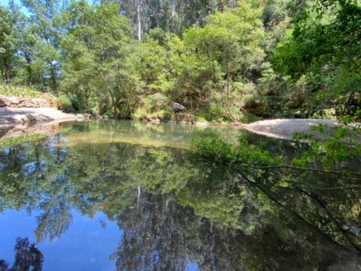 Encosta Do Douro - Rio Douro Villa Cinfães Eksteriør bilde
