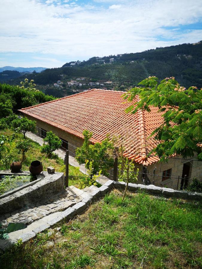 Encosta Do Douro - Rio Douro Villa Cinfães Eksteriør bilde