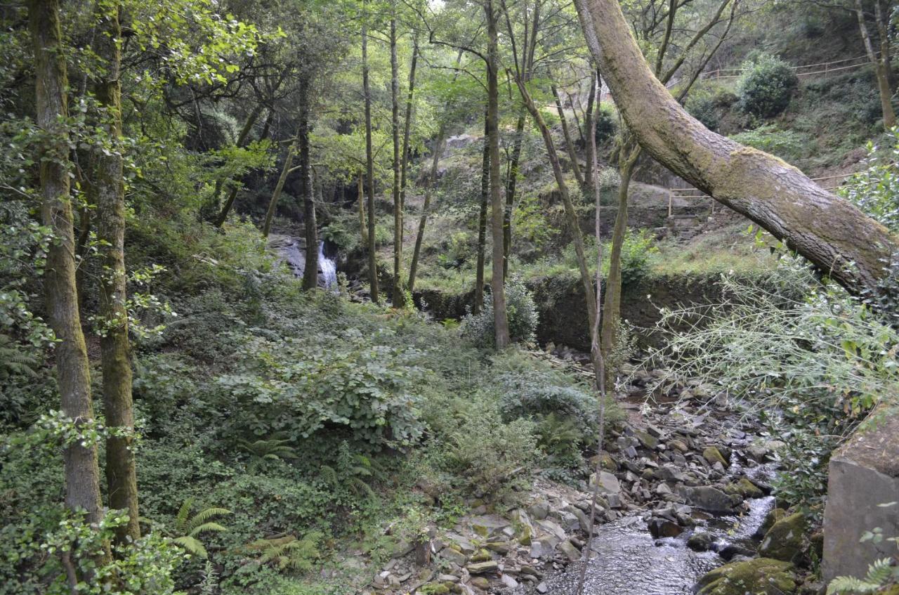 Encosta Do Douro - Rio Douro Villa Cinfães Eksteriør bilde