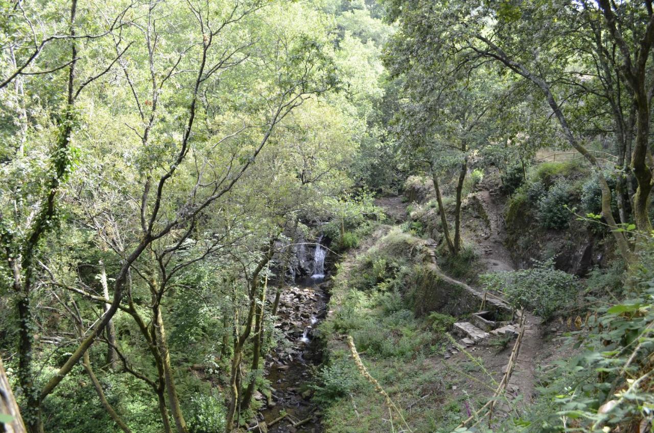 Encosta Do Douro - Rio Douro Villa Cinfães Eksteriør bilde