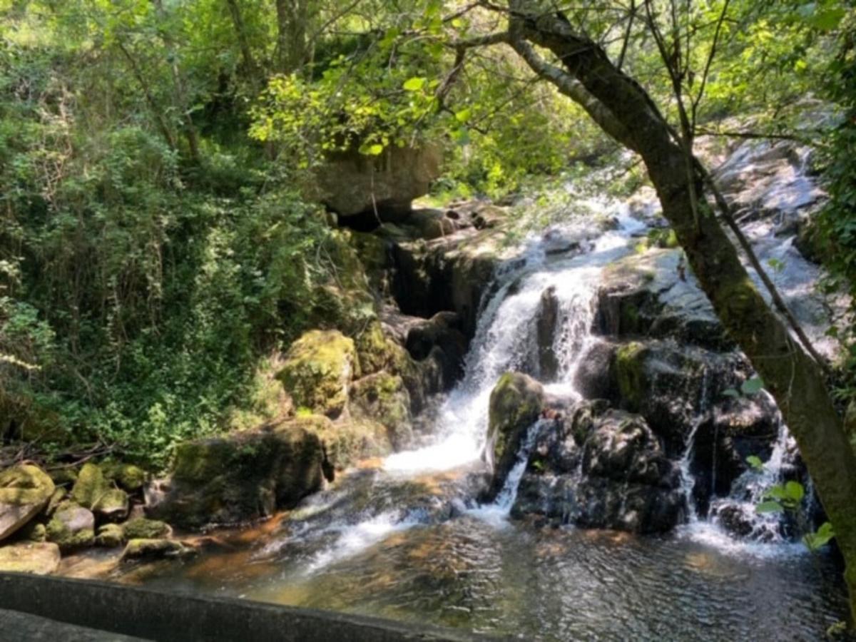 Encosta Do Douro - Rio Douro Villa Cinfães Eksteriør bilde