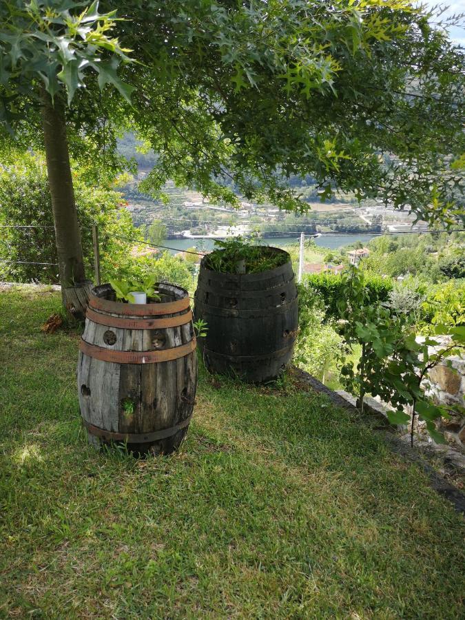Encosta Do Douro - Rio Douro Villa Cinfães Eksteriør bilde