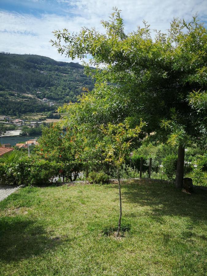 Encosta Do Douro - Rio Douro Villa Cinfães Eksteriør bilde