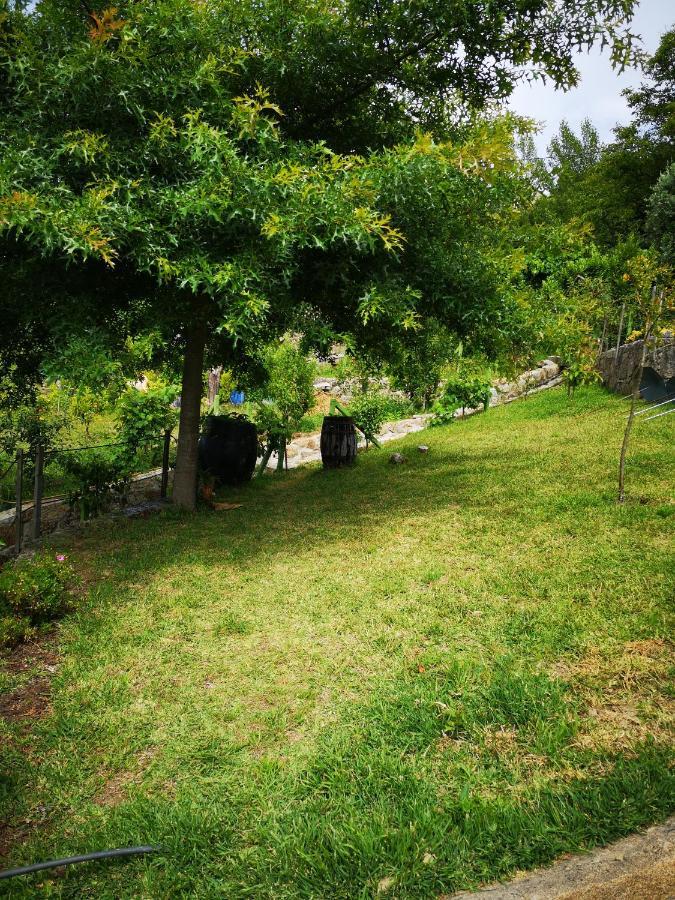 Encosta Do Douro - Rio Douro Villa Cinfães Eksteriør bilde